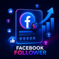 Facebook Page Followers